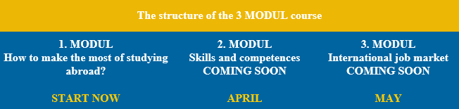 Modul structure