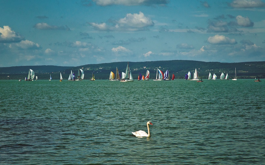 Balaton